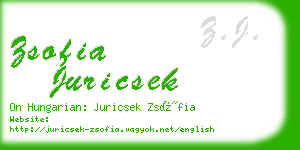 zsofia juricsek business card